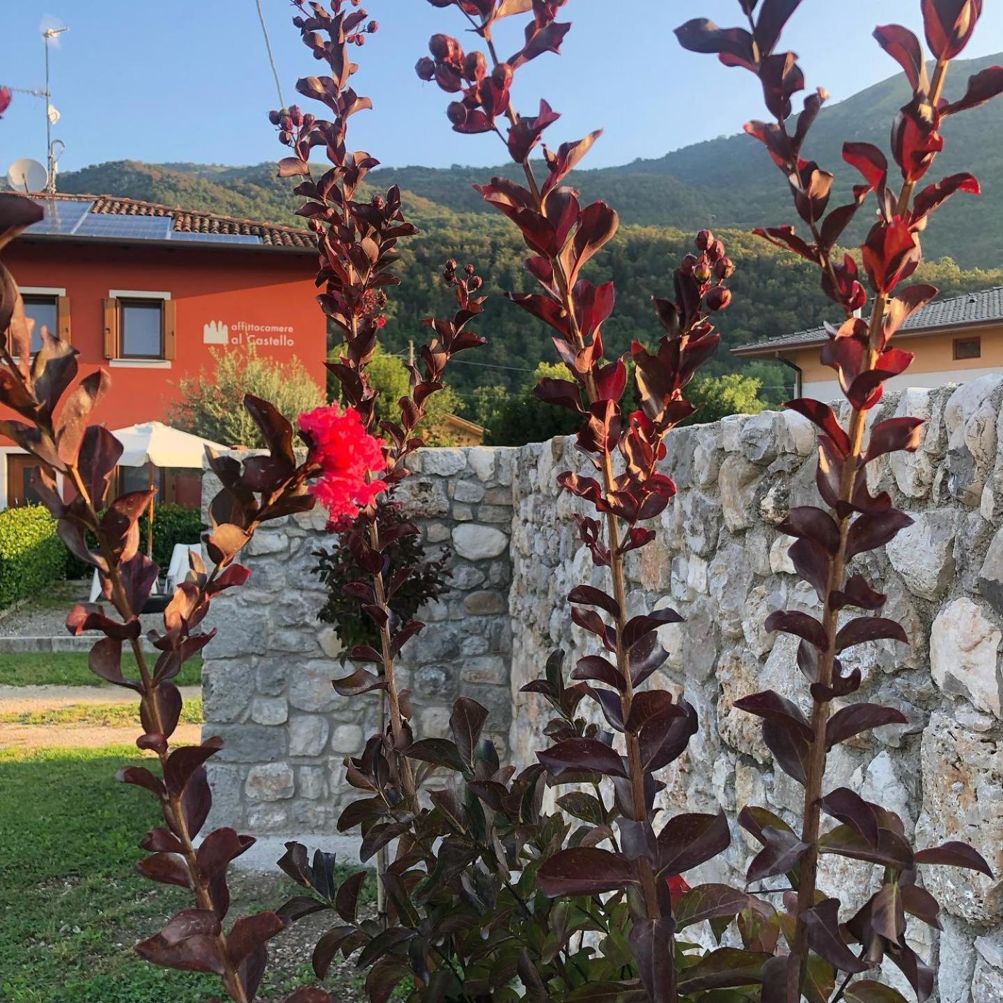 Affittacamere Al Castello Travesio Exteriör bild